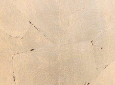 Gold Leafing in Hotels